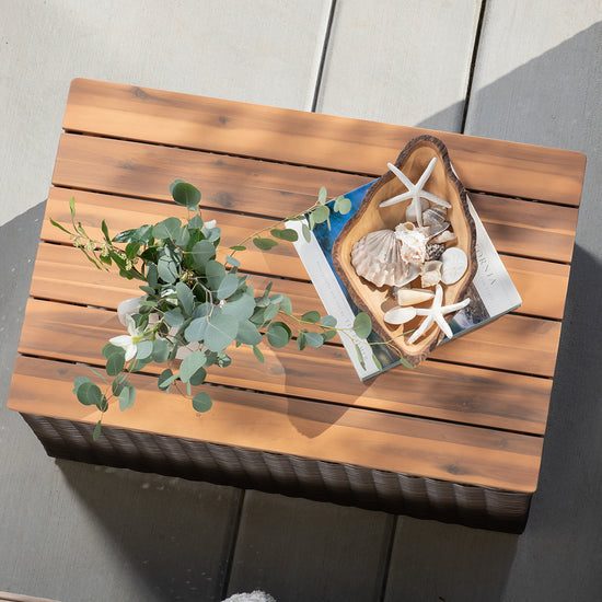 View from above of seashells and plant on outdoor side table from Villa Outdoors